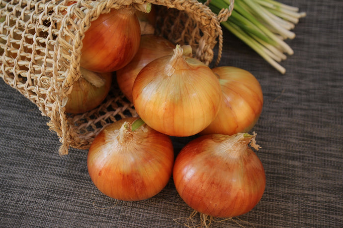 Health Benefits Of Onions